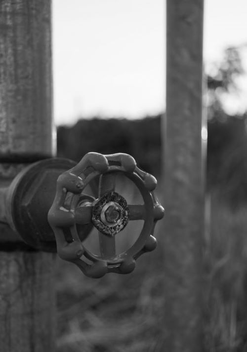 backflow
